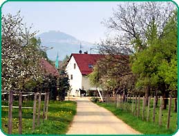 Am südlichen Ortsrand von Schlat finden Sie uns mitten im Grünen