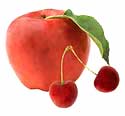 Obst